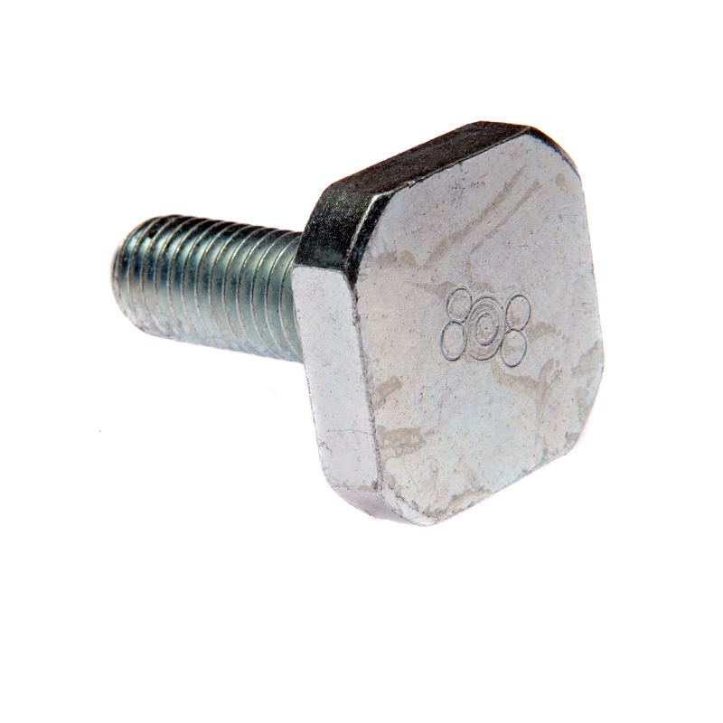 Special Tee Bolts